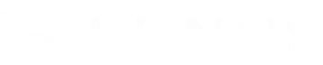 Lenus Health